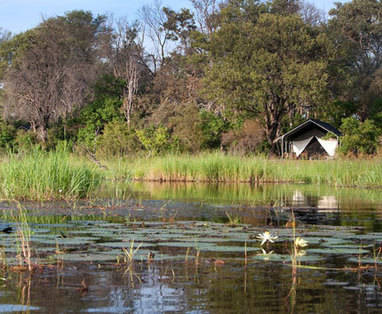 Botswana | Okavango Delta | Machaba Camp