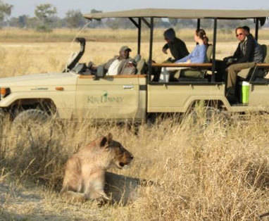 Botswana | Kanana Lodge | safari