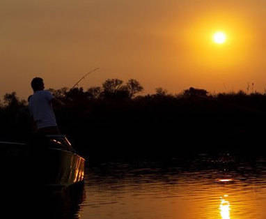 Okavango Delta | Kanana Lodge | vissen