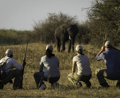 Linyanti_2013-07-20 WS