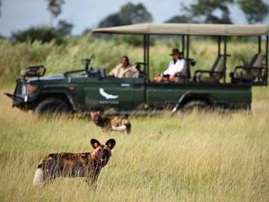 4x4 safari met wilde honden in okavango delta