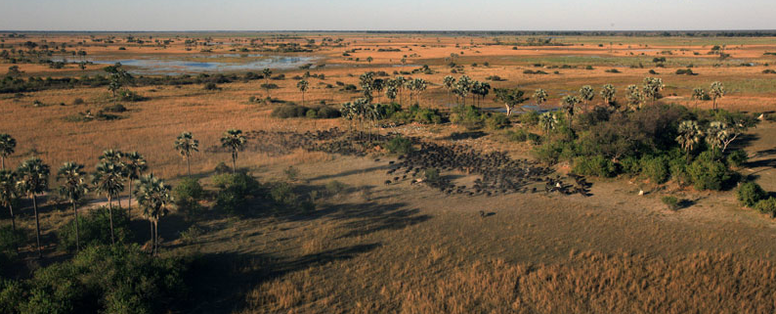 Selinda_uit_de_lucht