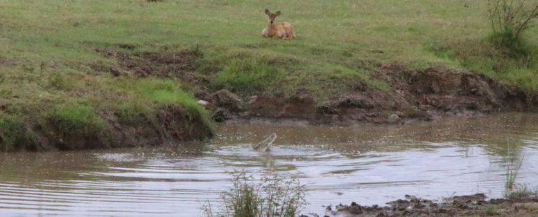 Majorie Agelink en Henk Coumou, South Luangwa Zambia