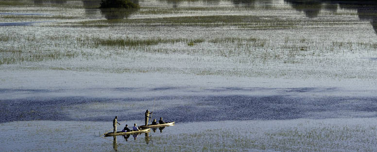 Delta_©Dana Allen www.photosafari-africa.com