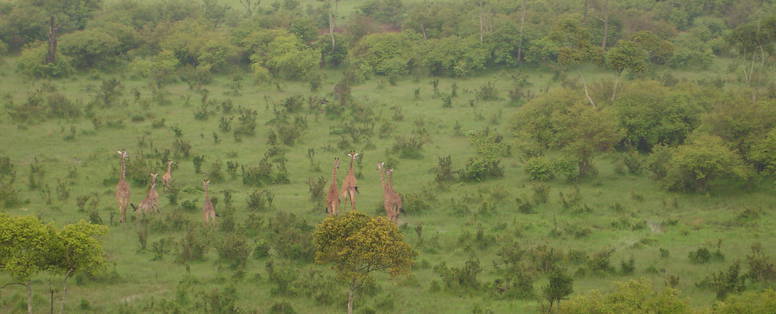 Anna Govers, Masai Mara Kenia