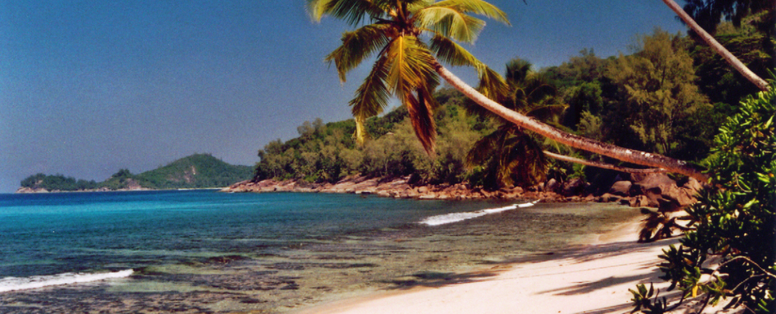 Bert Heinecke, Bird Island Seychellen