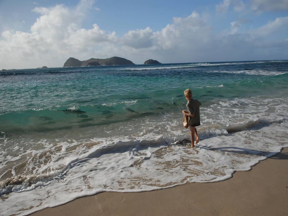 kind in de zee op lord howe island 