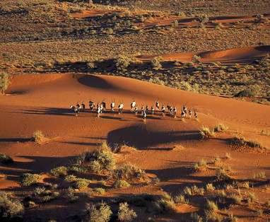 Kalahari_Desert00_High_Res_01_Hentie_Burger