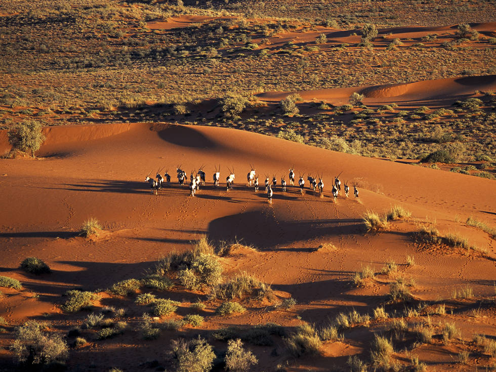 Kalahari_Desert00_High_Res_01_Hentie_Burger