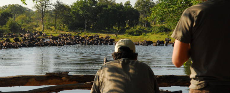 Pamushana prive reservaat