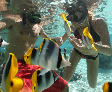 snorkelen_fakarava