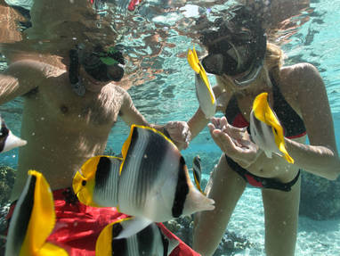 snorkelen_fakarava