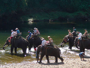 Laos | Het noorden | olifanten bij de rivier