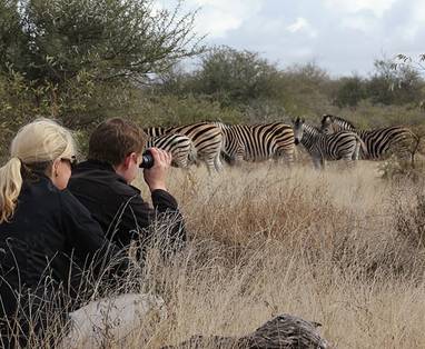 tanda tula timbavati bush walk