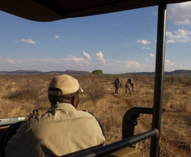 Madikwe