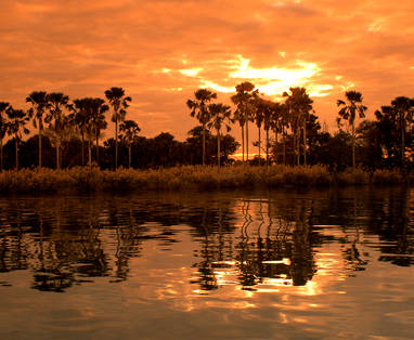 44_boottocht_in_Liwonde_NP