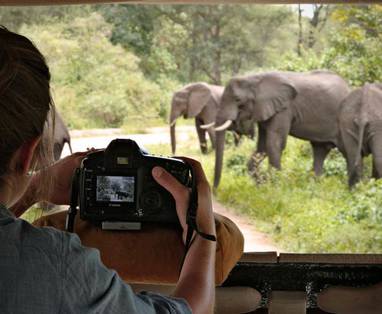 Olifanten fotograferen op safari in Lake Manyara NP vanaf Treelodge