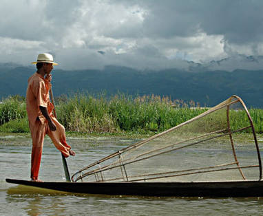 Myanmar | Inle meer | beenroeier