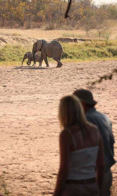 Discover_Ruaha_on_foot