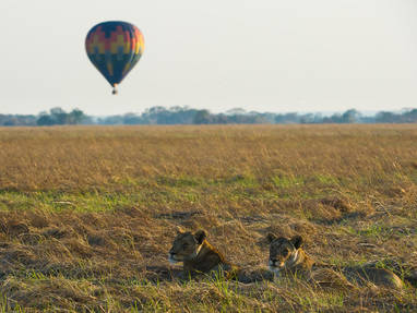 Shumba_Camp__WildernessSafaris18