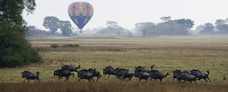 Shumba_wilderness_BusangaBalloon090