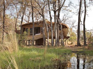 lodge bij Sandibe lodge in Botswana