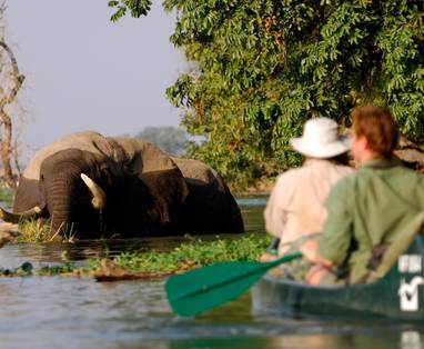 Natureways kano safari