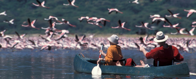 Kanoën op Momella meer tussen flamingos in Tanzania