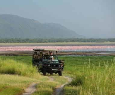 Flamingo's_Lake_Manyara
