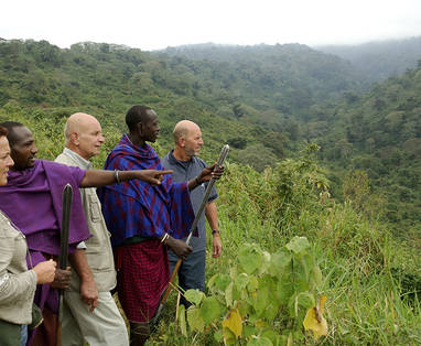 Klein-krater bos in Ngorongoro Conservation Area