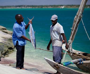 Bagamoyo_-_vissers_lazy_lagoon