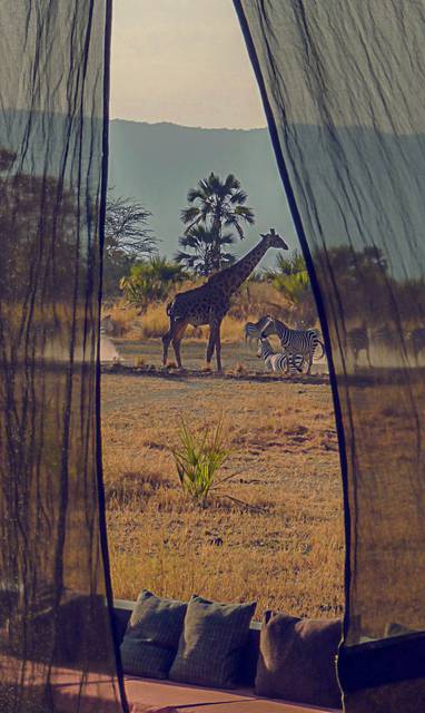 Wild spotten vanuit je tent bij ChemChem lodge in Lake Manyara NP
