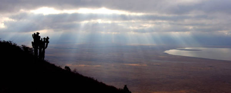 Plantation_Lodge_ngorongoro_1_gr