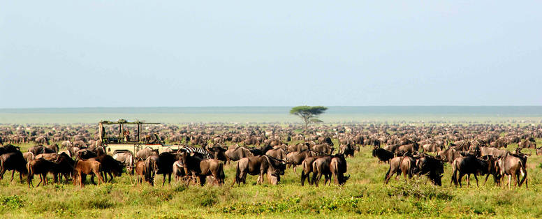 Serengeti_Safari_Camp