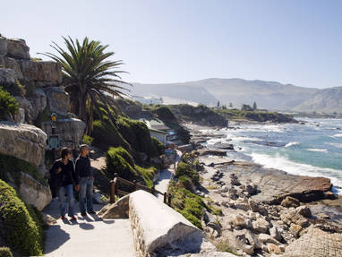 SAT-000-0220G_-_Hermanus