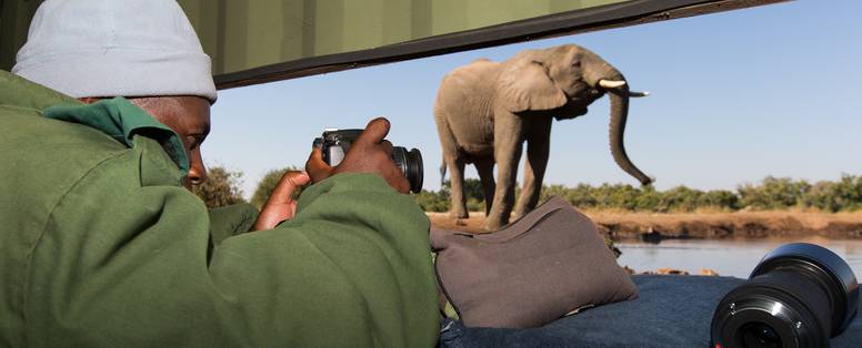 Elephant_Hide_View_(3)