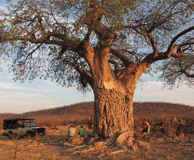 ghoha-hills-sundowners-under-the-baobab-tree