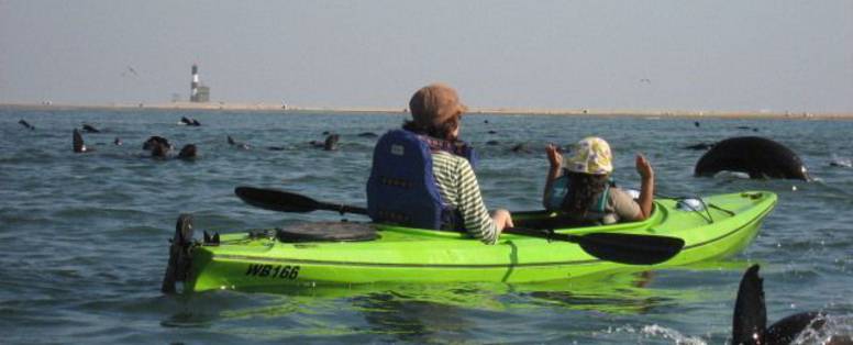 kajakken_in_Walvis_Bay_dropbox