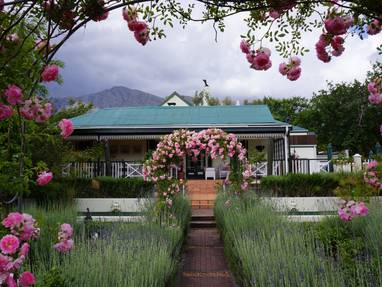 Garden_from_gate_in_bloom