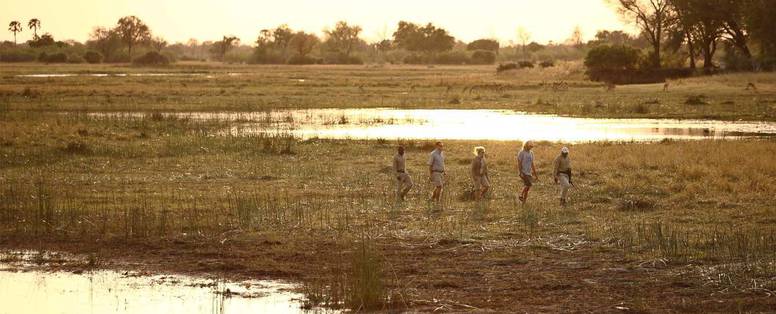 andbeyond_sandibe_okavango_safari_lod_(5)