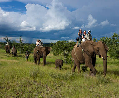 1377006299_Elephant-Rides