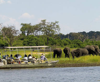 1377006299_Chobe-Day-Trip-2