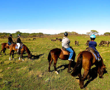 horse_back_riding_01