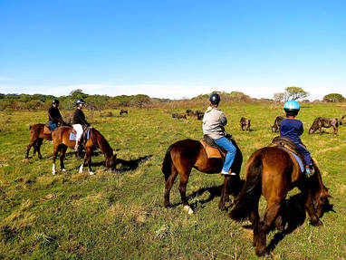 horse_back_riding_01