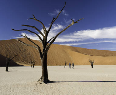 Sossusvlei in Namib Naukluft Park, Namibië