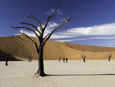 Sossusvlei in Namib Naukluft Park, Namibië