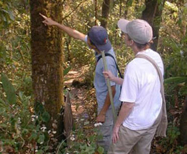 Begeleide wandelingen bij Fern Resort in Mae Hong Son in Thailand