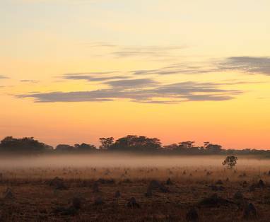 Morning_at_Kasanka-Jorrit_Vlot