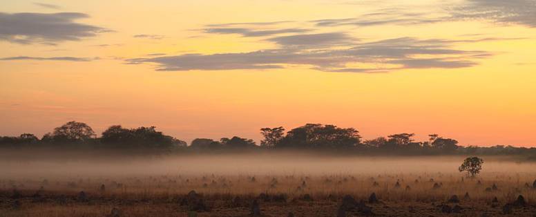 Morning_at_Kasanka-Jorrit_Vlot