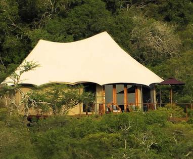 tented_camp_tent